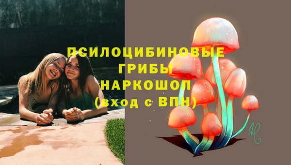 тгк Дмитровск