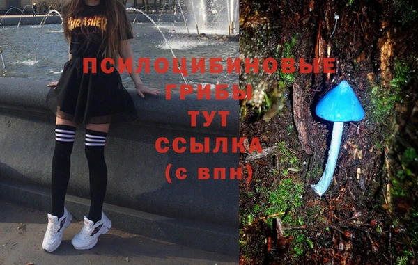 каннабис Дмитров