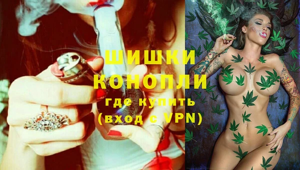 тгк Дмитровск