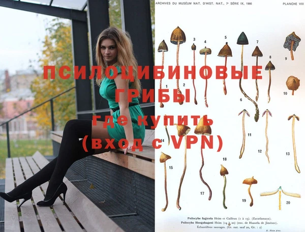 тгк Дмитровск