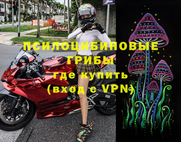 гашиш Ельня
