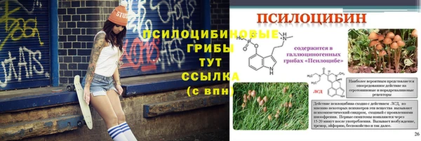 гашиш Ельня