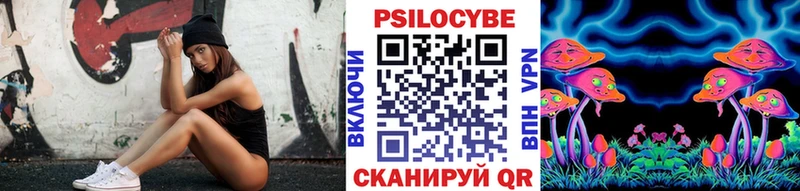 Галлюциногенные грибы Cubensis  Невинномысск 